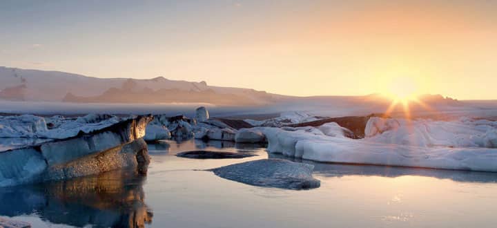 Polar bears and French luxury on Ponant Arctic cruise.