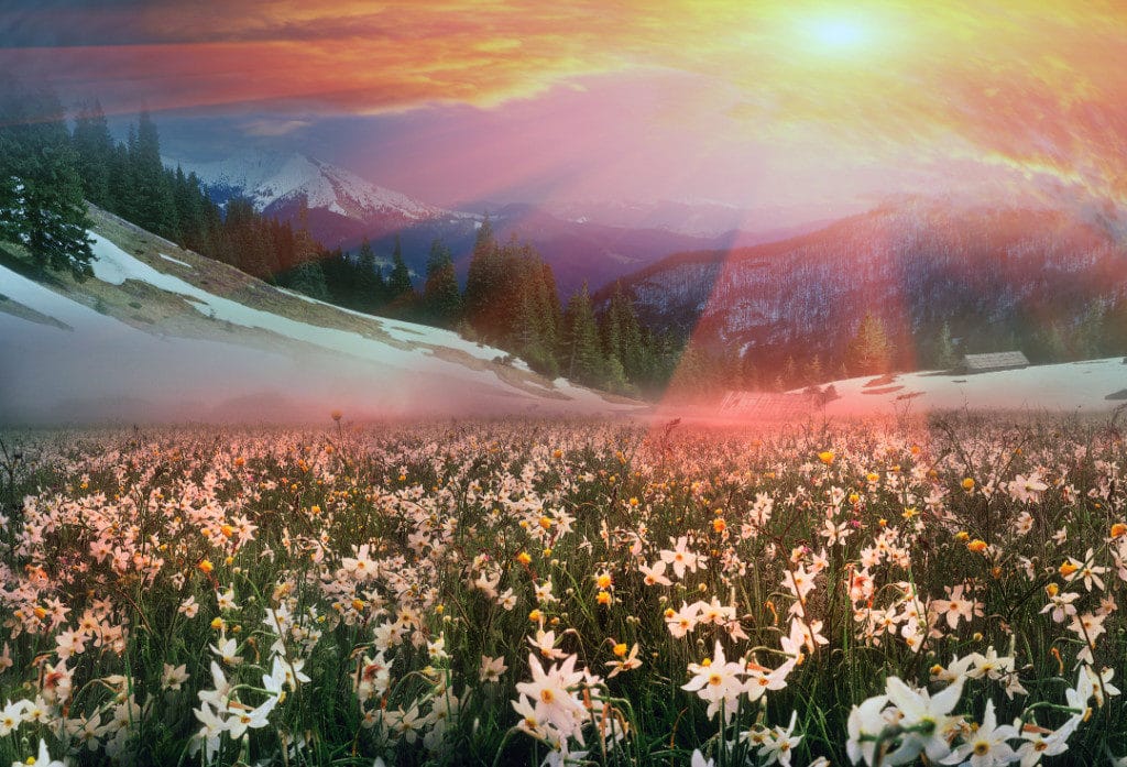 The Arctic Grand Voyage will visit Iceland - the land of fire and ice.