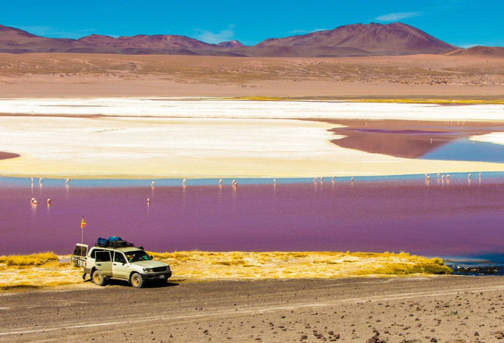 Red Lagoon (Lagoa Colorada) in Bolivia, South America.