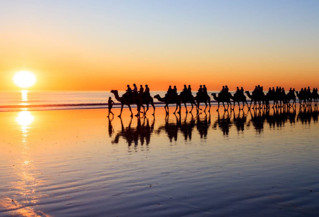 Enjoy a Broome sunset while riding one of the towns famous camels.