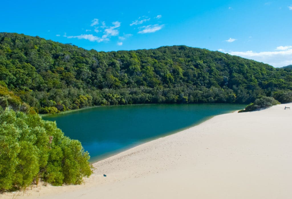 Rainforest and sand dunes collide on Fraser Island in Australia.