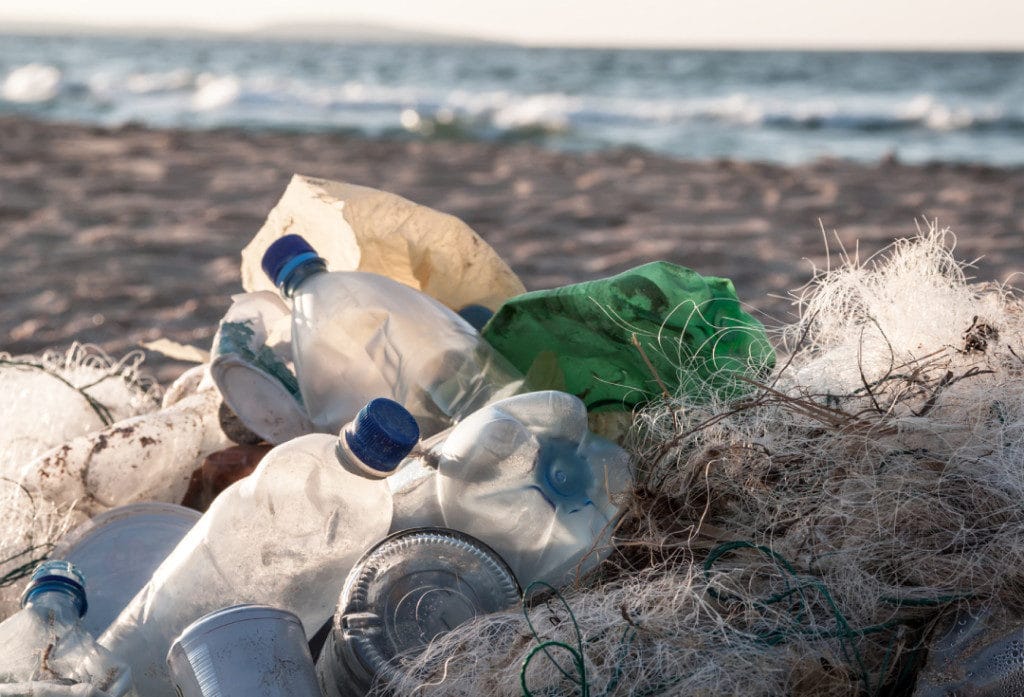 Plastic water bottles pollute our beaches and oceans.