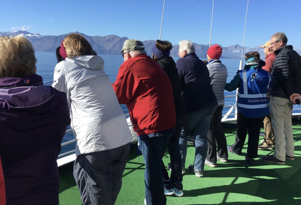Guests on the Silversea whale watching cruises helped researchers spot the marine mammals.