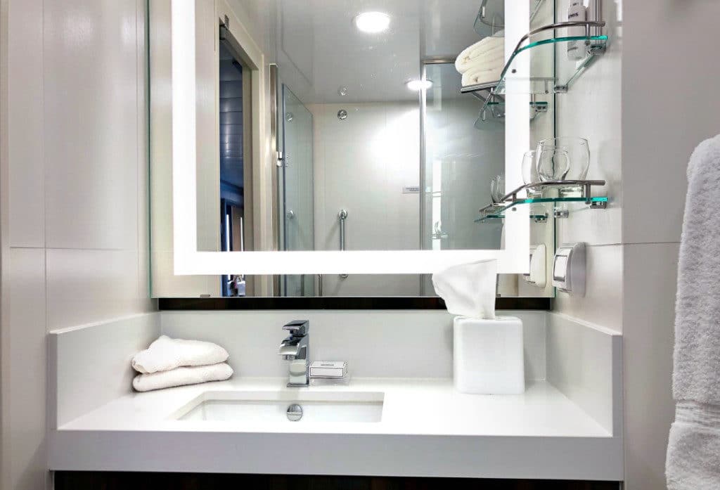 A Nieuw Statendam Verandah Stateroom bathroom.