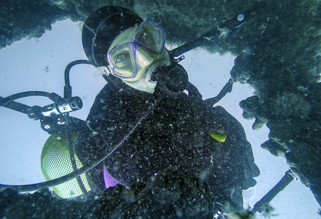 A scuba diver ventures inside a wreck.