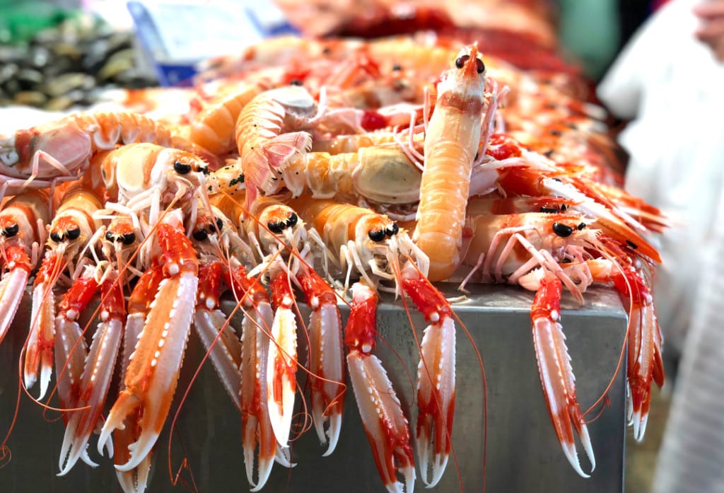 Langoustine in the Malaga seafood market.