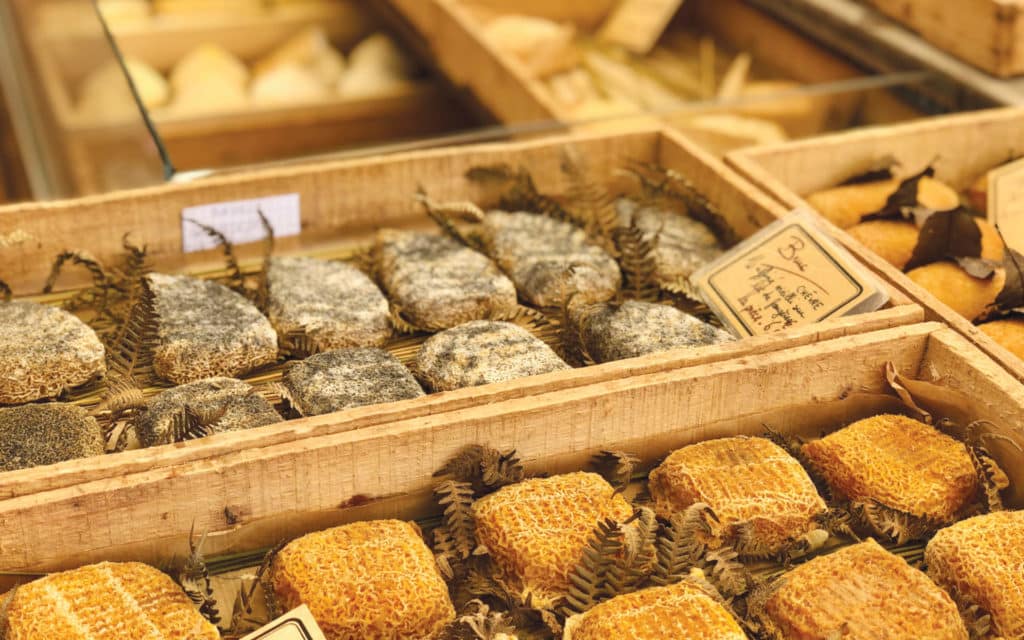 Cheese for sale in a market in Bordeaux, France.