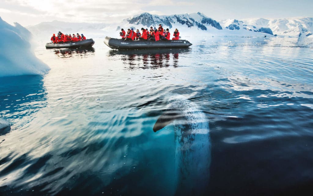 Silversea's guests on Antarctic expedition in Zodiacs.