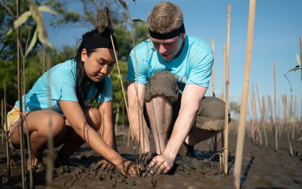 A young woman and man plant seedling in a mangrove renewal zone, Mexico.