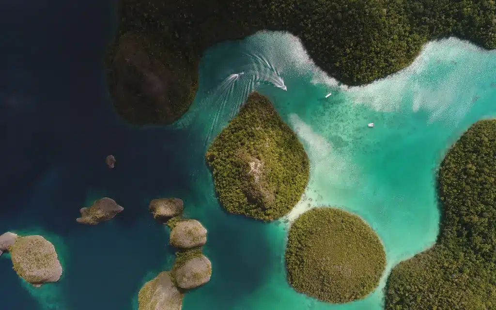 Overhead view of the Wayag islands in north Raja Ampat.