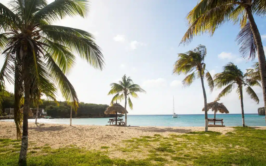 Beach umbrellas and palm trees on Santa Cruz beach, Caribbean.