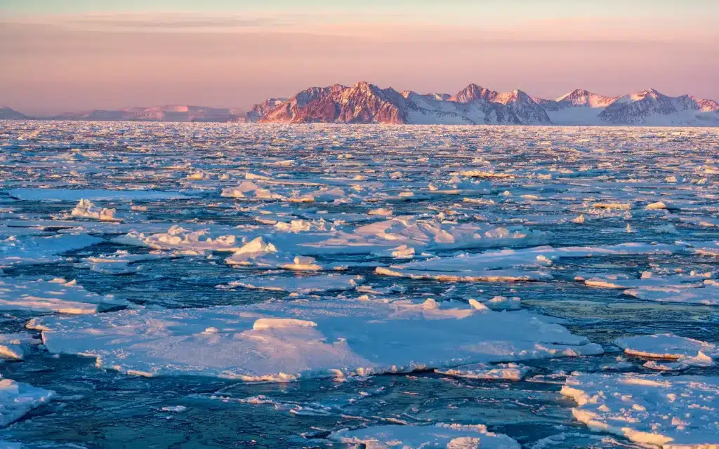 Ice flows off the coast of Greenland.