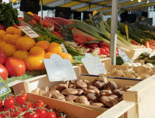 Big culinary journeys aboard small expedition ships