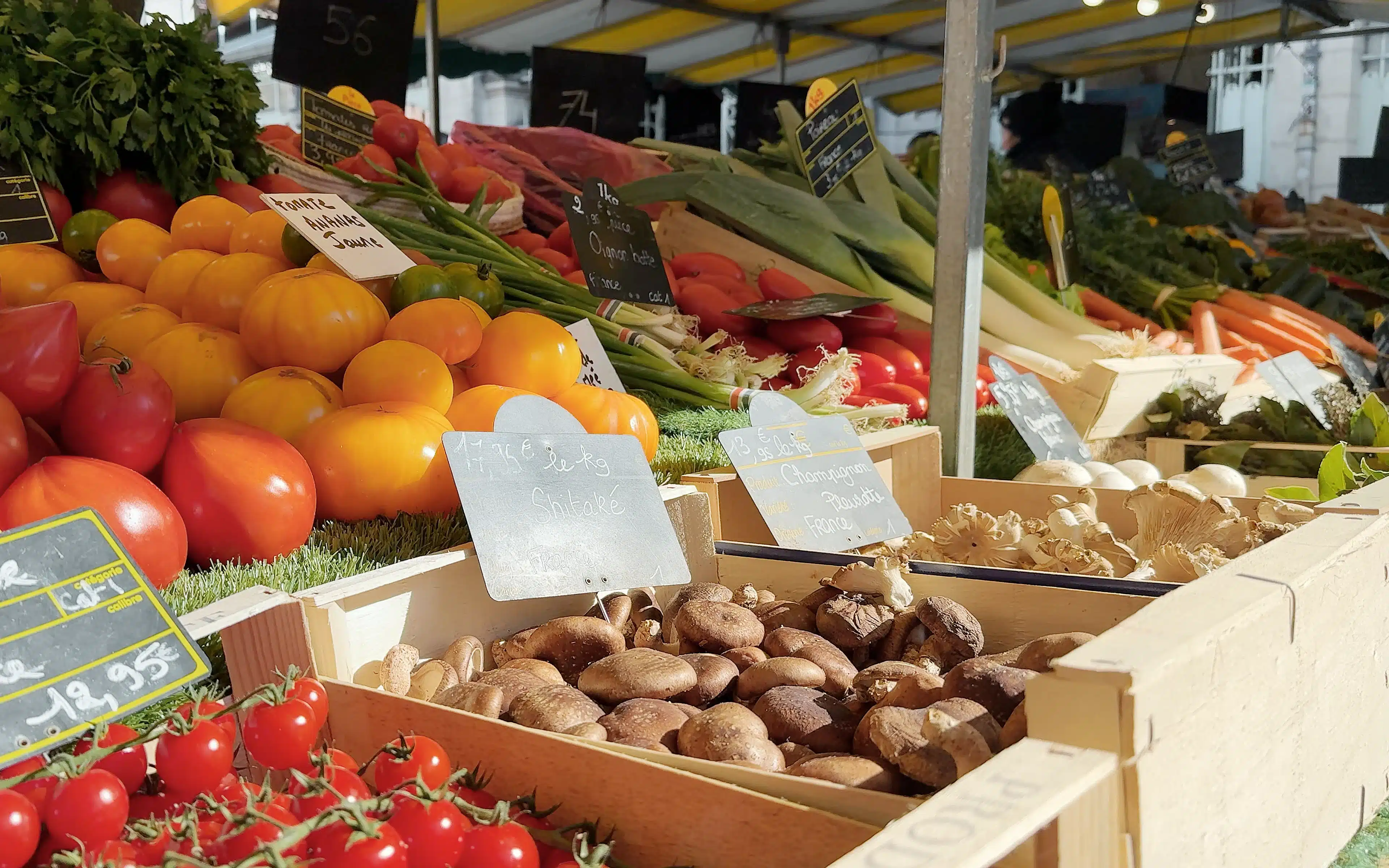A close-up photo of produce in a market in Europe; mushrooms, ruby red tomatoes, and leeks.