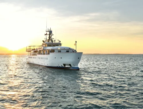 Where fewer footsteps fall: Pearl Expeditions charts a course to the world’s last wild places