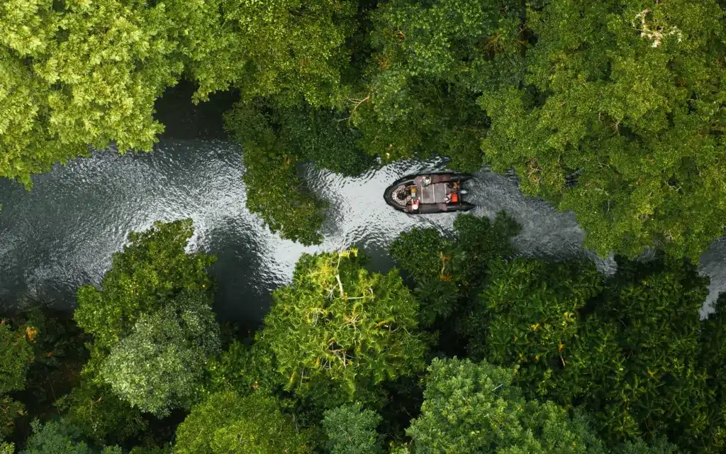 A zodiac expedition up a river in Papua New Guinea.