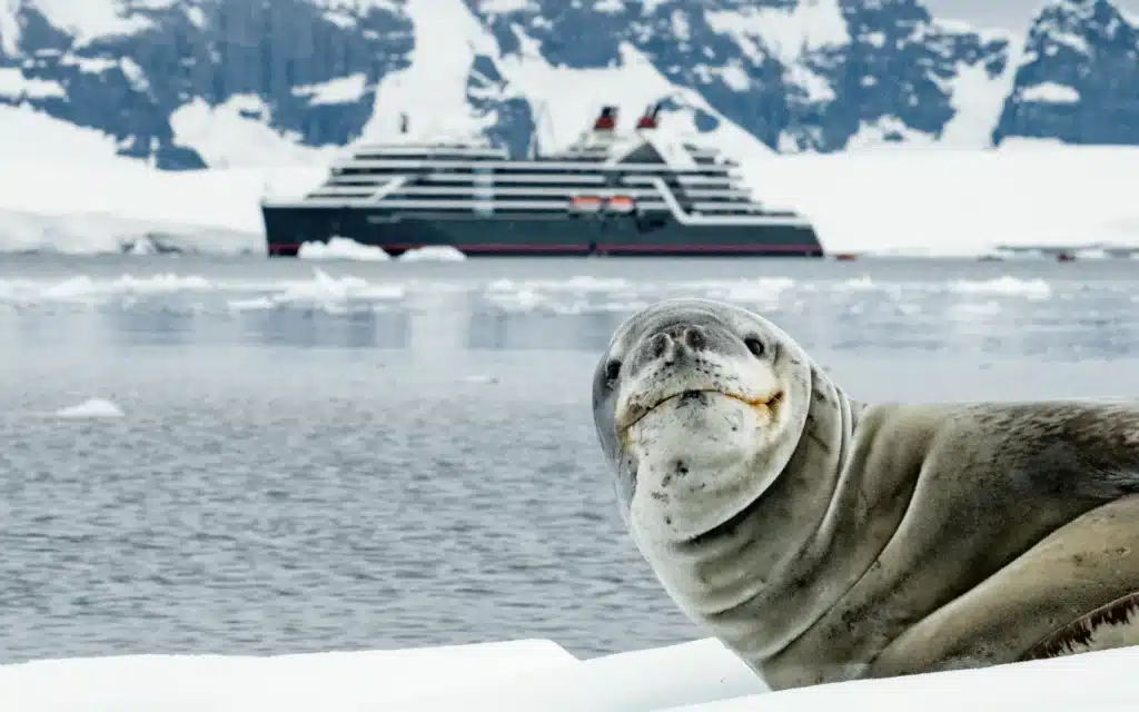 Weddell seal resting on ice with an expedition ship anchored in an Antarctic bay