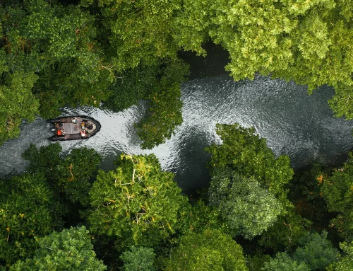 One year after her maiden voyage, Paspaley Pearl proves the case for boutique expedition cruising