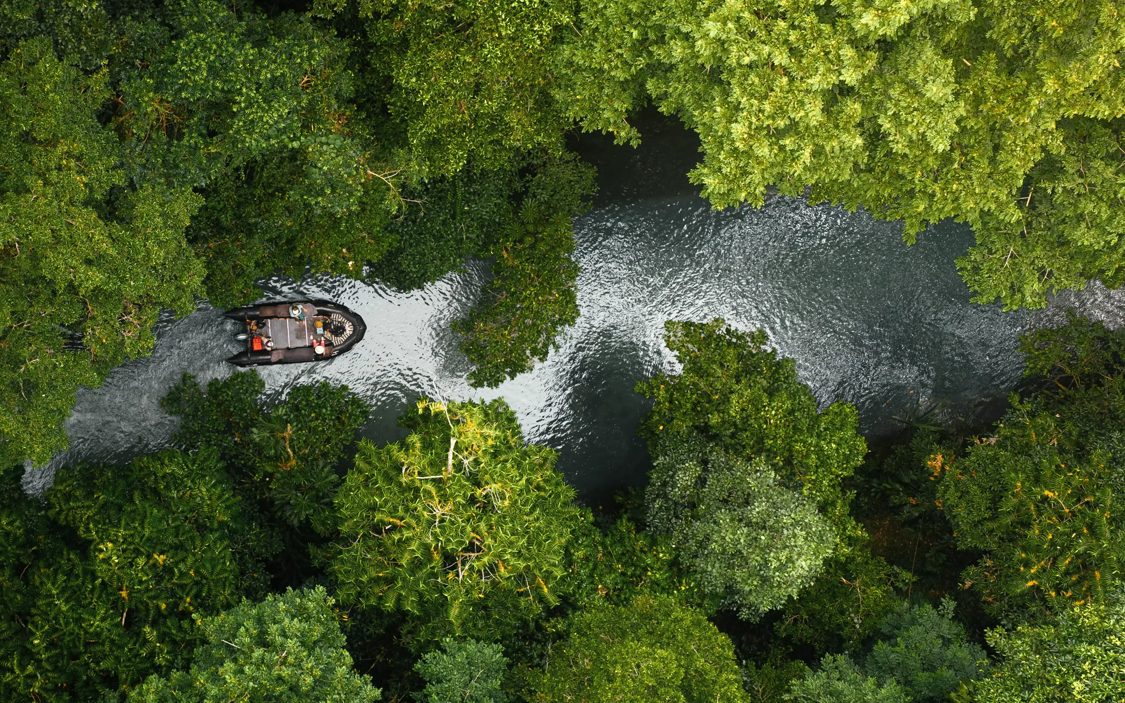 Aerial view of a tender boat navigating a jungle river