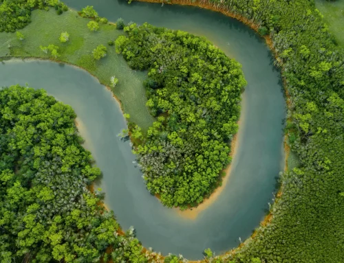 Seabourn charts a new route deep into the Amazon