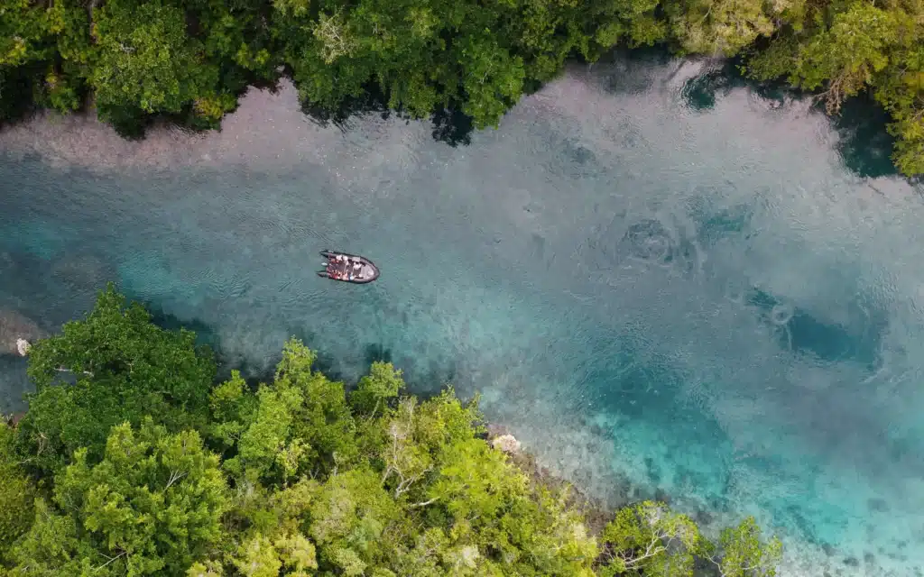 Aerial view of an expedition tender crossing a mangrove-lined channel